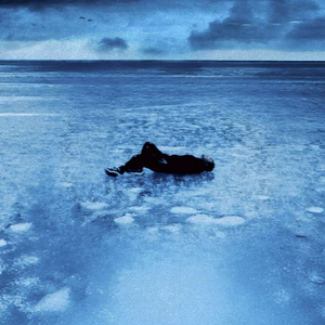 亚洲v欧美v另类v综合v日韩v
